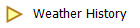Weather History