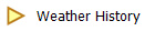 Weather History